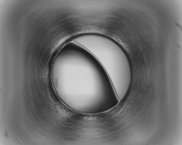 X0000096960440200802080903
