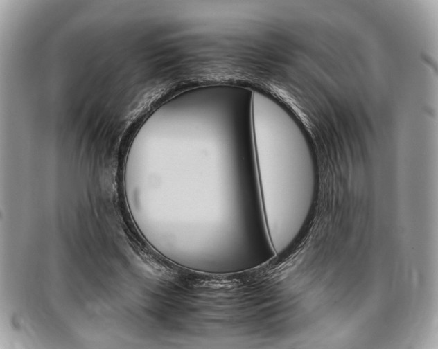 X0000096960443200802080903