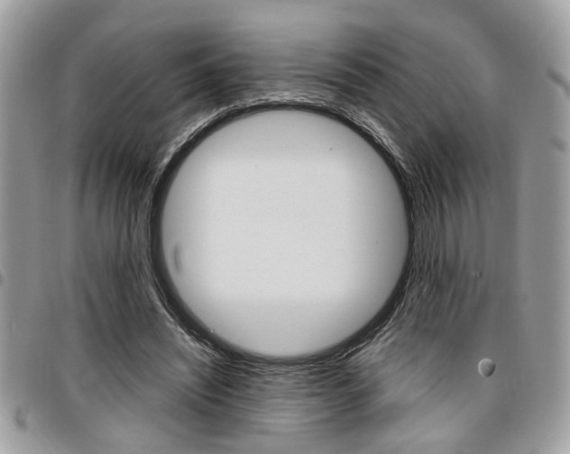 X0000096960444200802080903