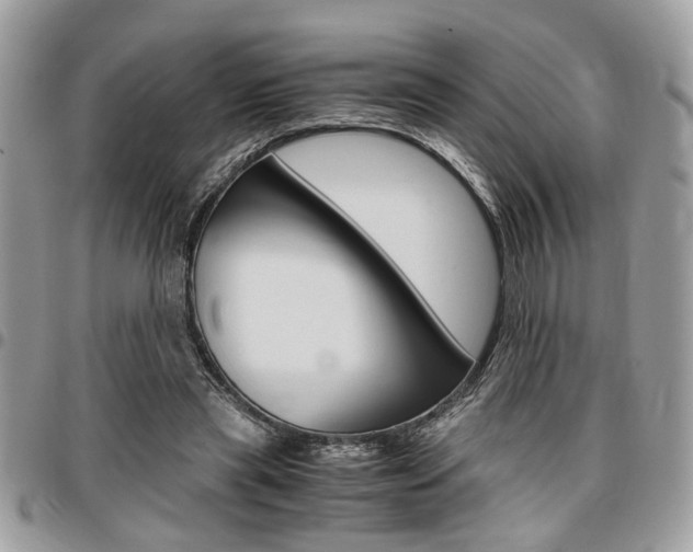 X0000096960445200802080903
