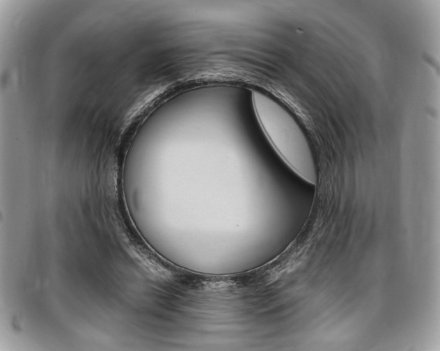 X0000096960446200802080903