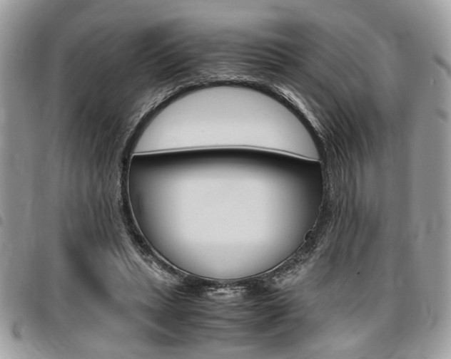 X0000096960447200802080903