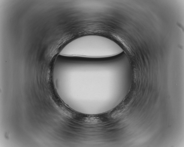 X0000096960451200802080903