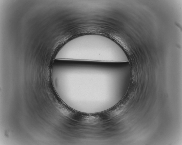 X0000096960453200802080903