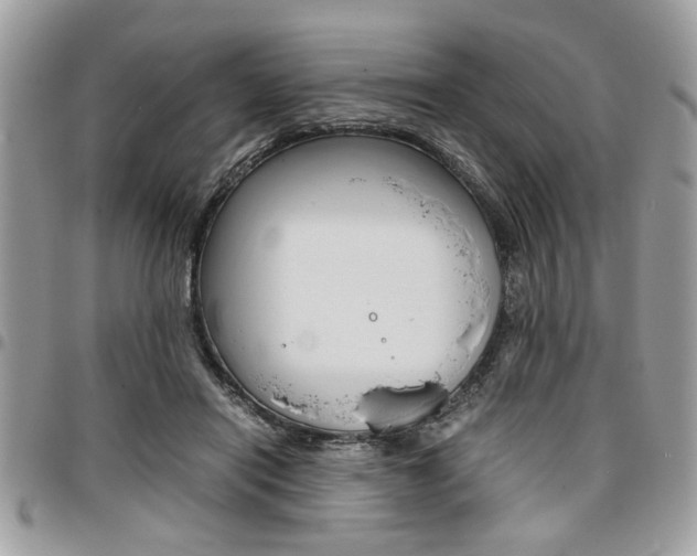 X0000096960454200802080903