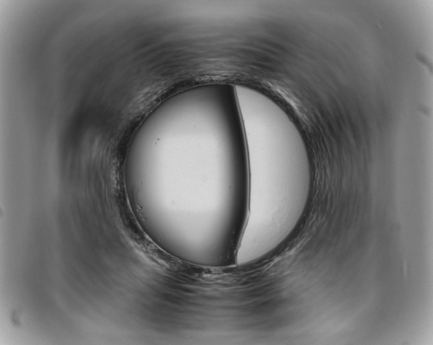 X0000096960455200802080903