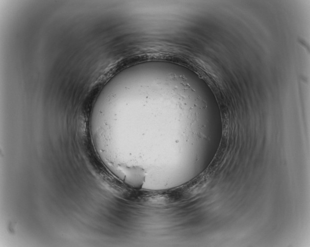 X0000096960456200802080903