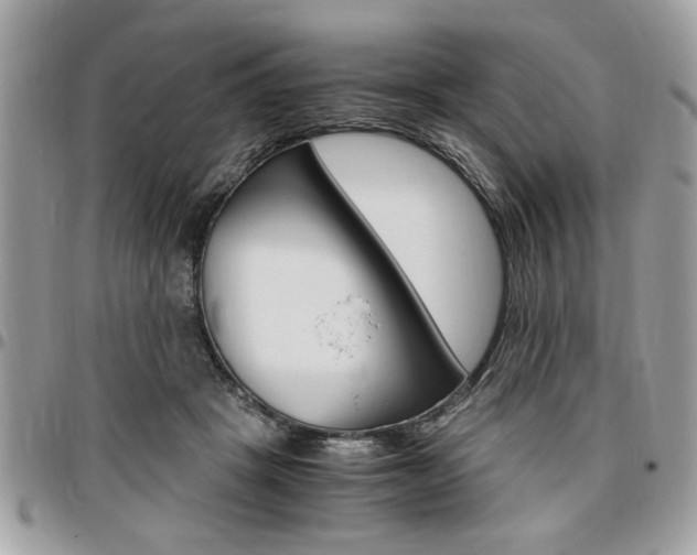 X0000096960457200802080903