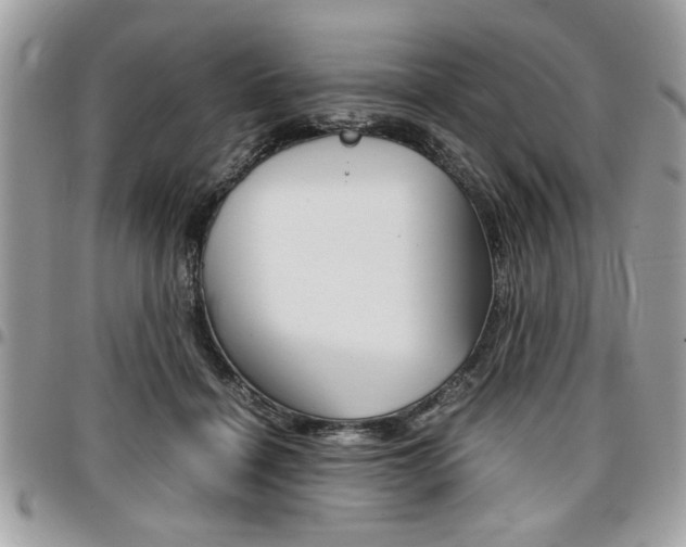 X0000096960460200802080904