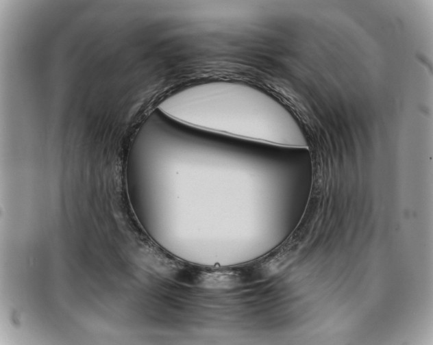 X0000096960461200802080904