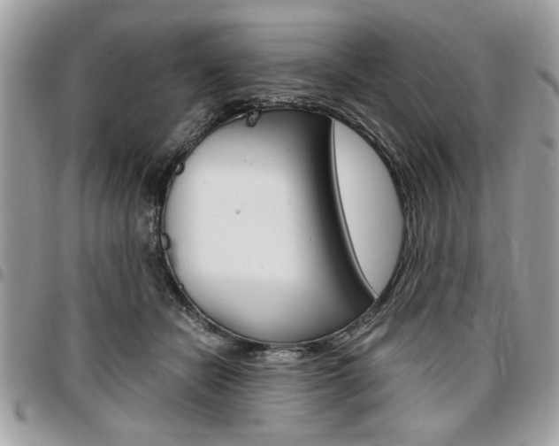 X0000096960462200802080904