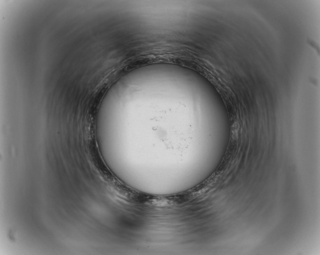 X0000096960464200802080904