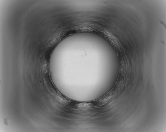 X0000096960465200802080904