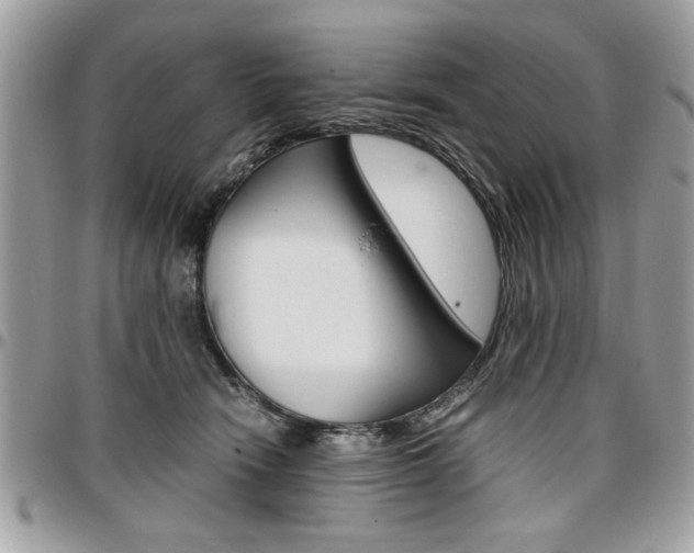 X0000096960466200802080904