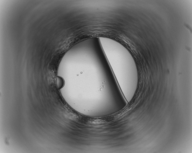 X0000096960467200802080904