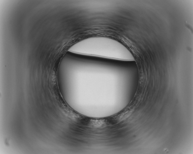 X0000096960469200802080904