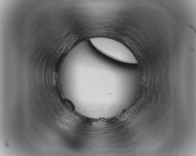 X0000096960470200802080904