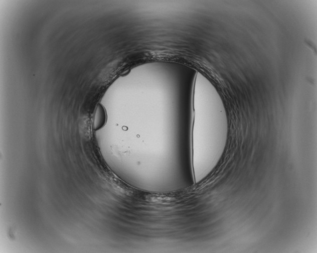 X0000096960471200802080904
