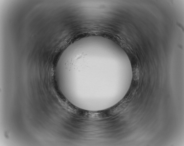X0000096960472200802080904