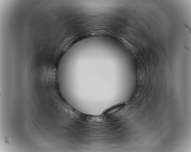 X0000096960475200802080904
