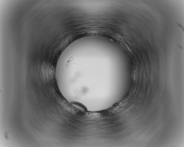 X0000096960476200802080904