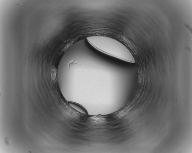 X0000096960477200802080904