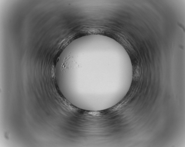 X0000096960478200802080904