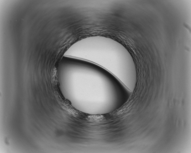 X0000096960480200802080904