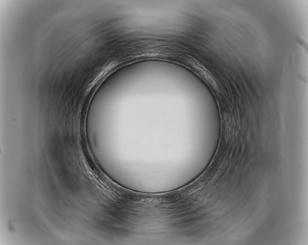 X0000096960482200802080903