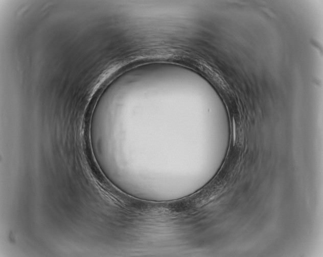 X0000096960483200802080903