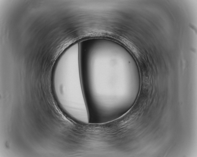 X0000096960485200802080903