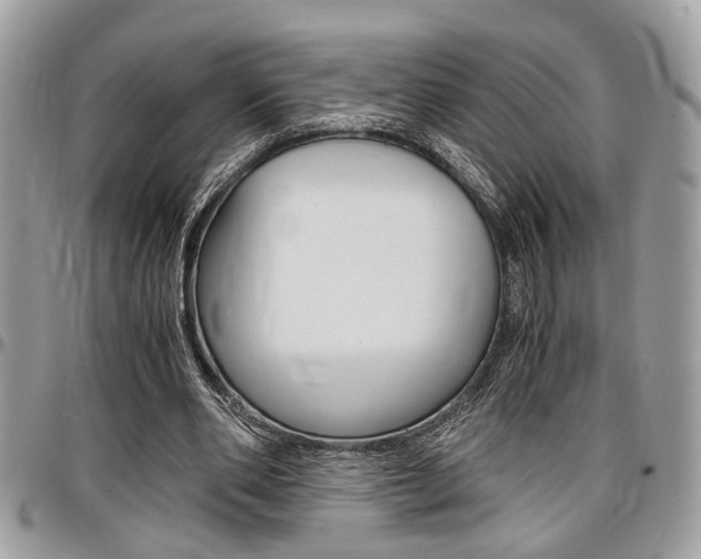 X0000096960486200802080903