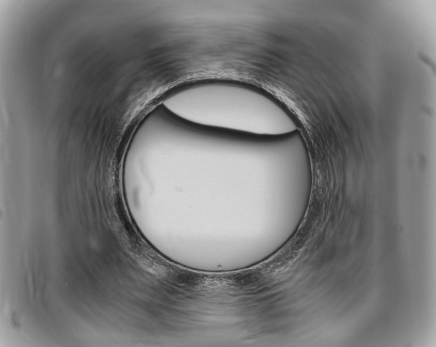 X0000096960487200802080903