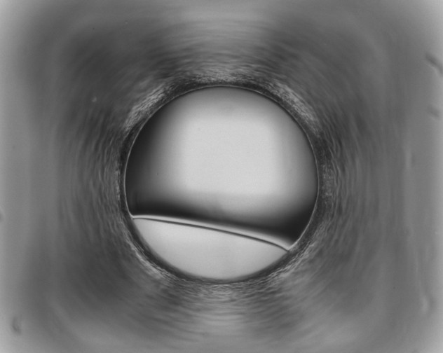 X0000096960489200802080903