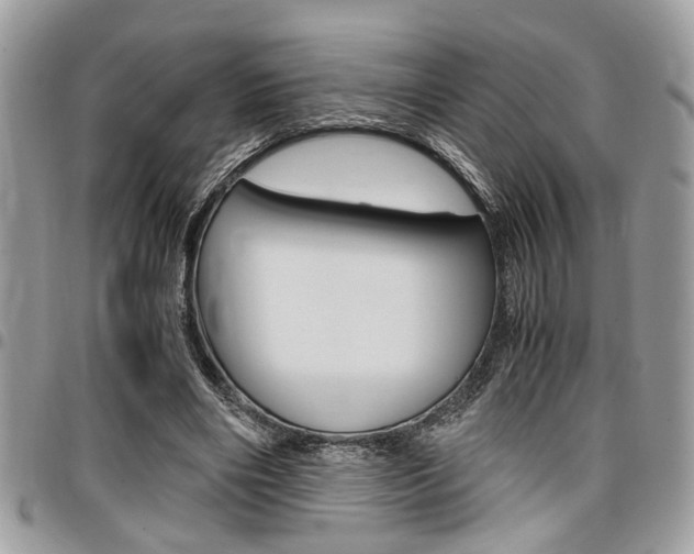 X0000096960490200802080903