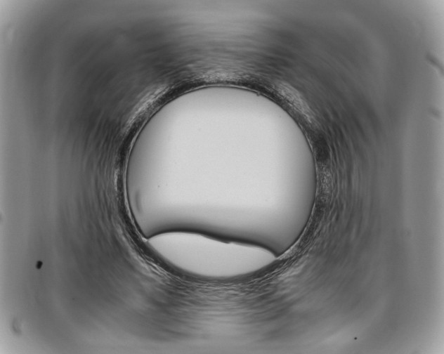 X0000096960491200802080903