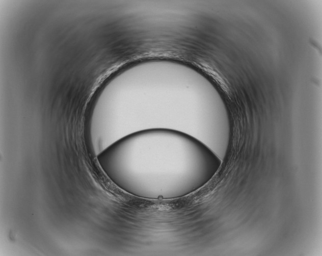 X0000096960492200802080903