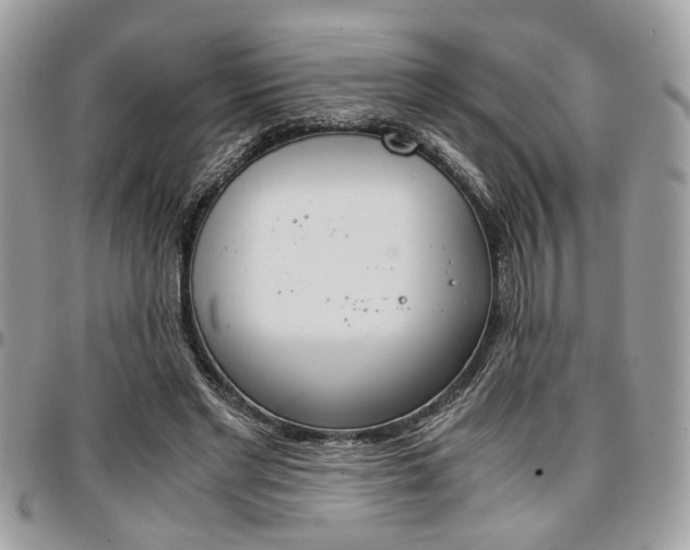 X0000096960493200802080903
