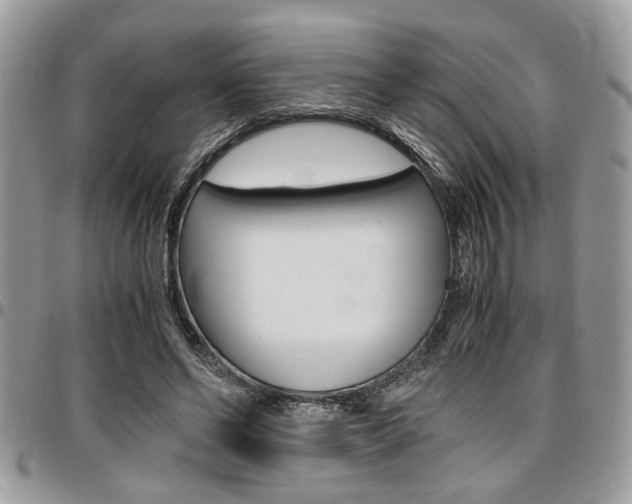 X0000096960494200802080903