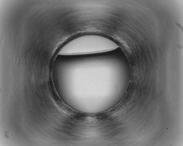 X0000096960496200802080903