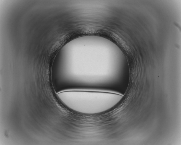 X0000096960497200802080903