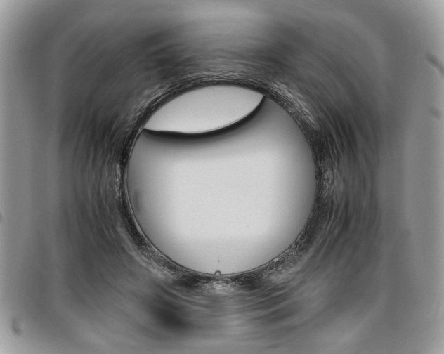 X0000096960498200802080903