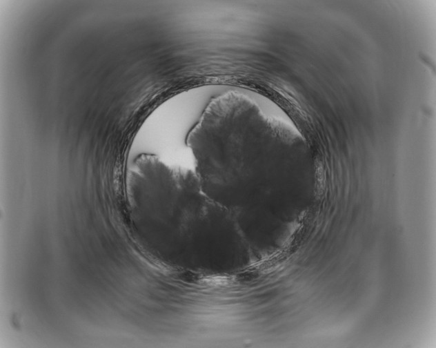 X0000096960499200802080903