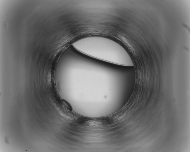 X0000096960500200802080903