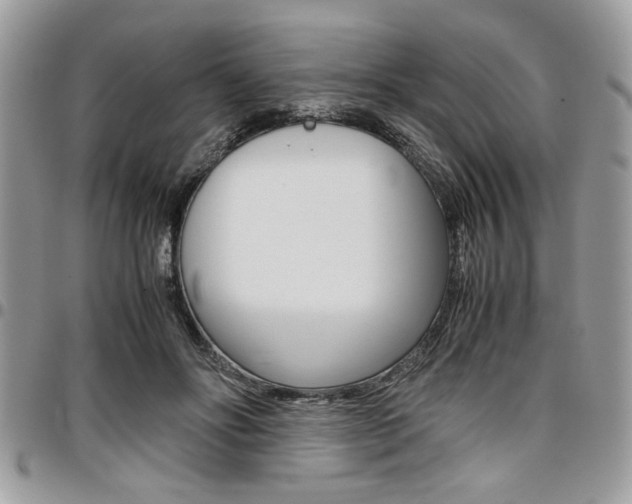 X0000096960502200802080903