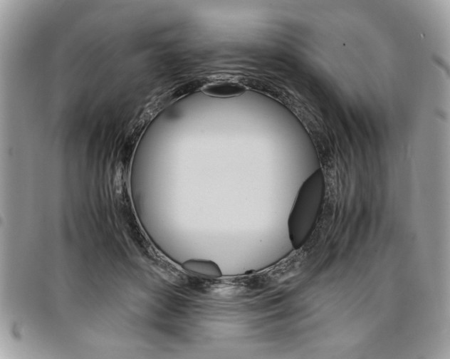 X0000096960504200802080903