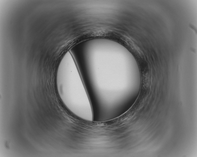 X0000096960505200802080903