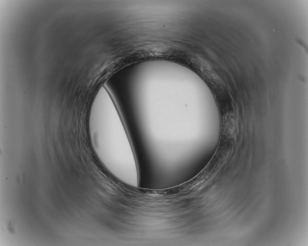 X0000096960509200802080903