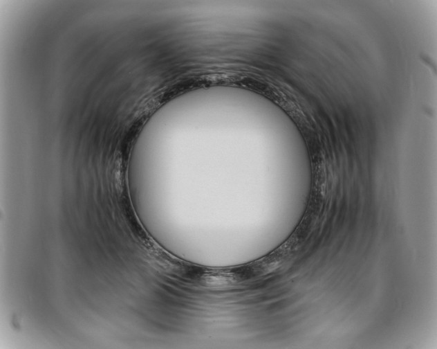 X0000096960510200802080903