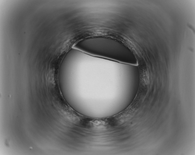 X0000096960512200802080903